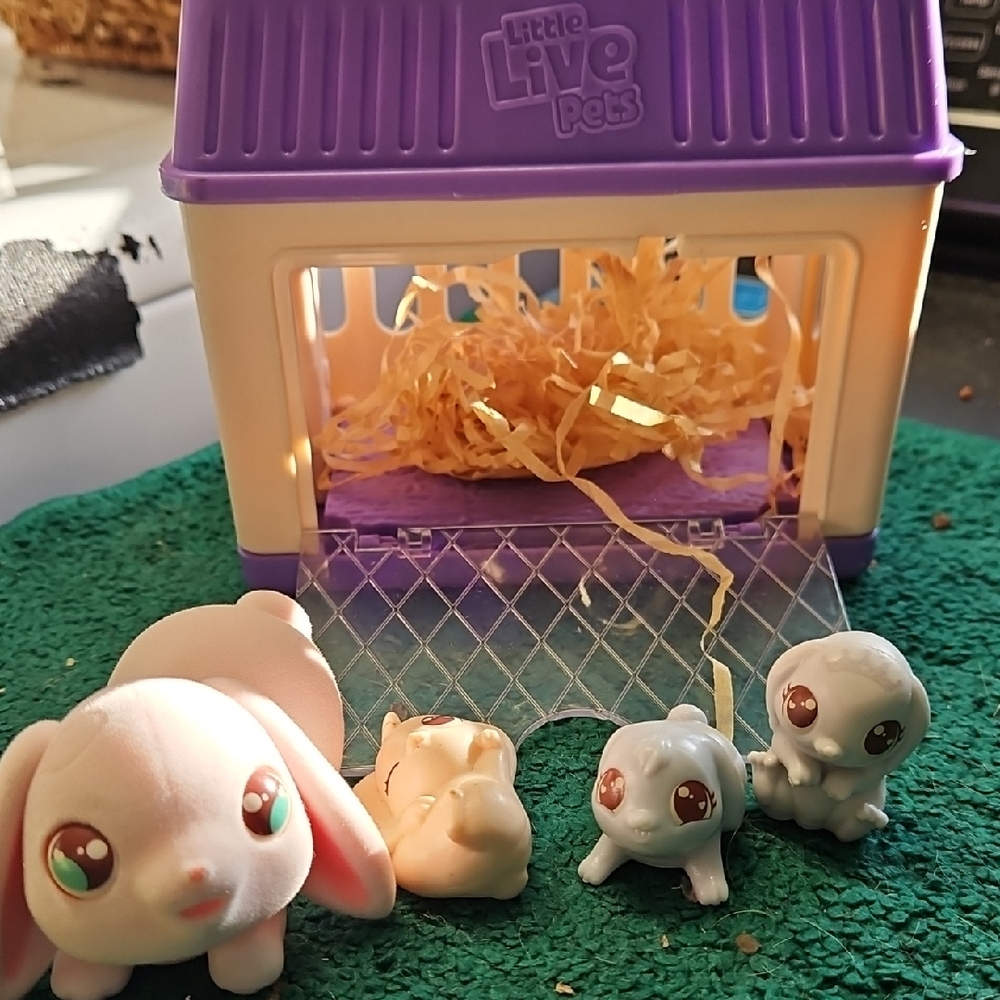 Little Live Pets Rabbits